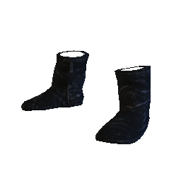 Polar Shoes +4