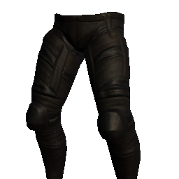 Ancient Whisperblade Pants