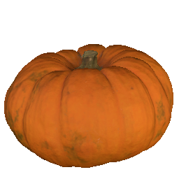 Pumpkin (Large)