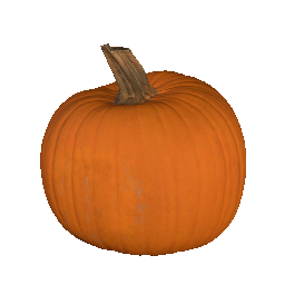 Pumpkin (Medium)