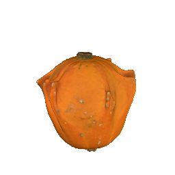 Pumpkin (Small)