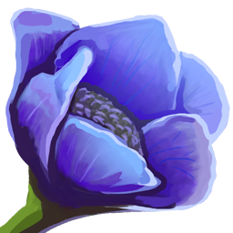 Poppy