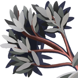 Shadow Poppy