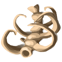 Cerberus Bone