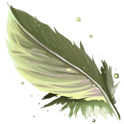 Bear's Feather