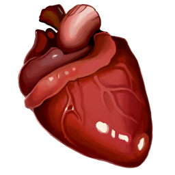 Phoenix Heart