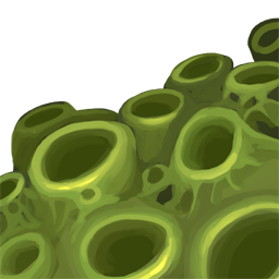 Orc Skin
