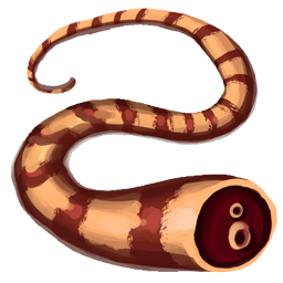 Lizard tail